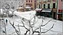 sisteron-neige-8-1-2010_04w