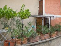 Nyons  Petite terrasse fort sympathique ! ...