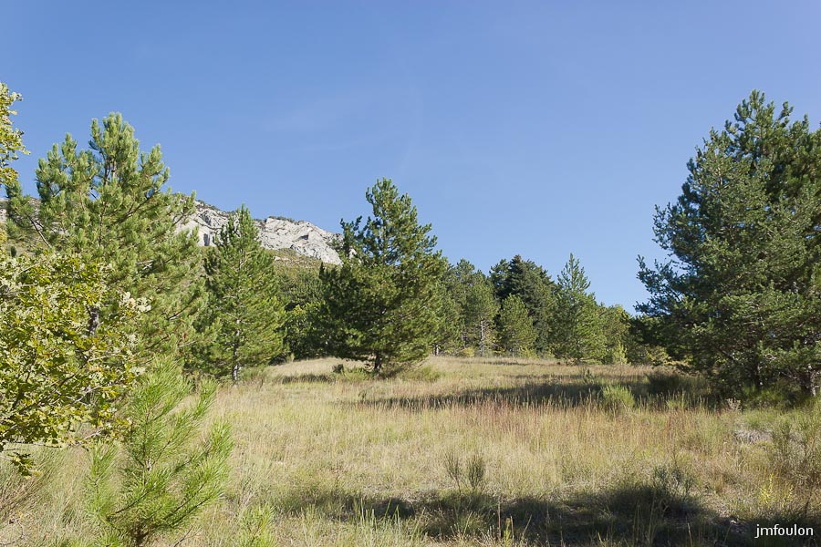 sisteron-rt-entrepierre-018web.jpg - Sisteron - Alpes de Haute Provence - Végétation au niveau de Chaterusse sur l'ancienne route d'Entrepierre. Au loin, la Baume