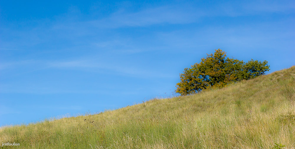 sisteron-rt-entrepierre-019web.jpg - Sisteron - Alpes de Haute Provence - Végétation au niveau de Chaterusse sur l'ancienne route d'Entrepierre