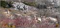 st-geniez-paysages-021web