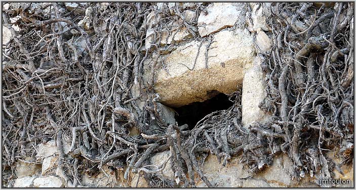 chateau-62web.jpg - Bouche à canon dans le mur de la façade nord