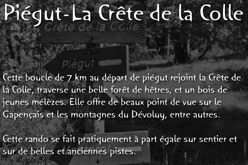 piegut-ct-colle-00web.jpg - Rando à partir de Piégut - Dénivellé: 550 m - Distance: 7 km - Durée: 3h30 - Difficulté: ** - Balisage: Jaune - Cartographie: IGN 3338 ET