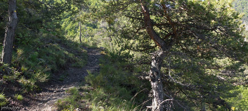 piegut-ct-colle-07web.jpg - Vue sur le sentier