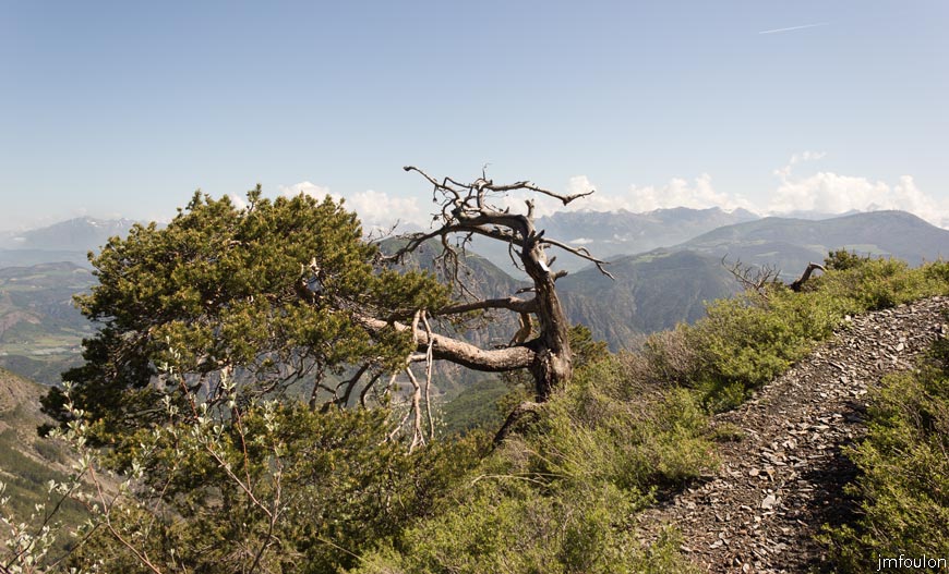 piegut-ct-colle-12web.jpg - Autre vue sur le sentier
