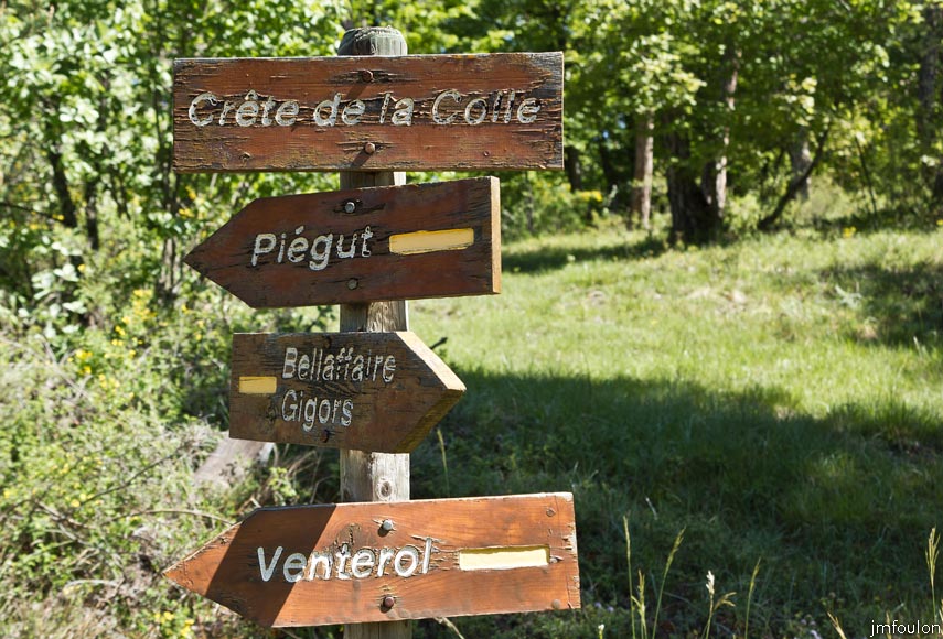 piegut-ct-colle-13web.jpg - Nous voici à la Crête de la Colle (1418 m). Nous allons la suivre sur environ 550 m vers l'Est avant de nous engager plein Nord dans une belle hêtraie