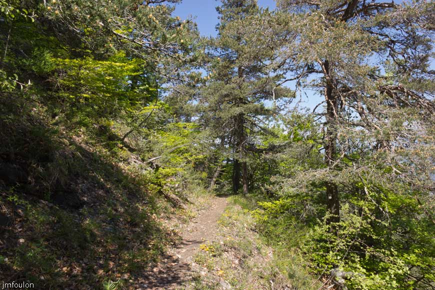 piegut-ct-colle-18web.jpg - Vue sur le sentier