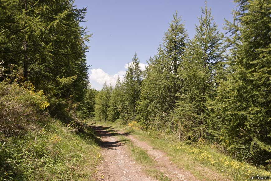 piegut-ct-colle-19web.jpg - Un piste nous ramène dorénavant jusqu'à Piégut
