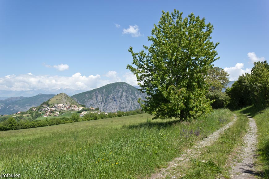 piegut-ct-colle-25web.jpg - La piste et Piégut. J'ai cassé la croute sous cet arbre à l'ombre