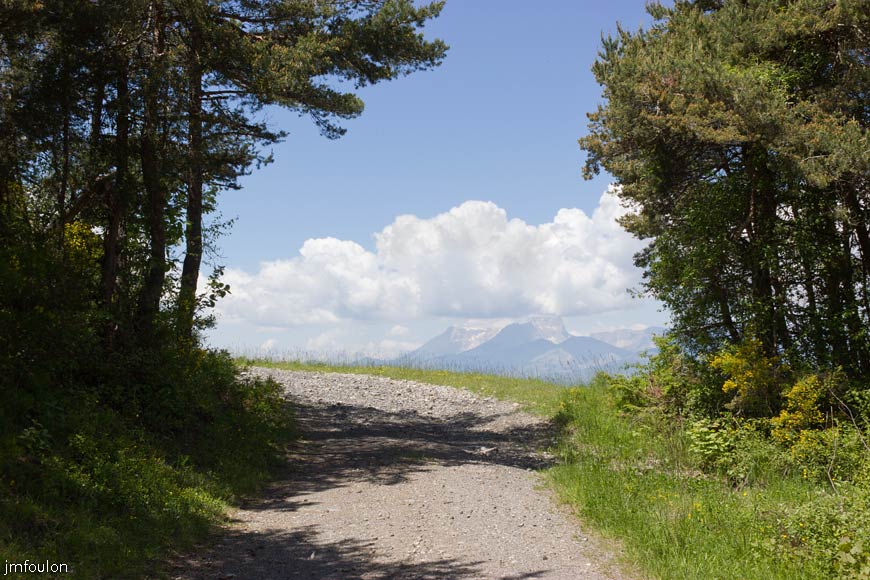 piegut-ct-colle-30web.jpg - La piste