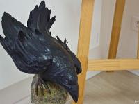 Expo Plastik'Art - Manosque  Karine Bernard