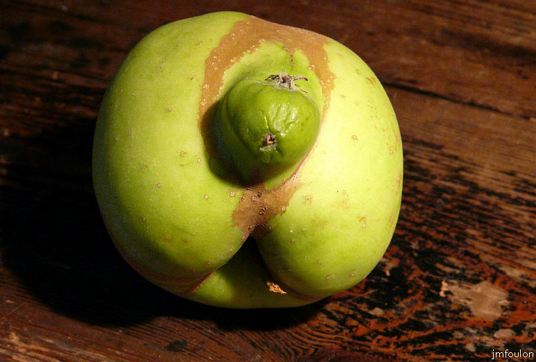 pomme-05web.jpg - La tête à Polux (Polux était le chien du manège enchanté de Serge Danot diffusé dès le 5 octobre 1964 sur le 1er chaine de l'ORTF)