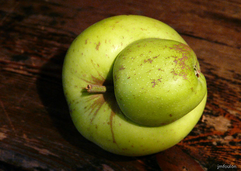 pomme-07web.jpg - Gros Pif ! ...