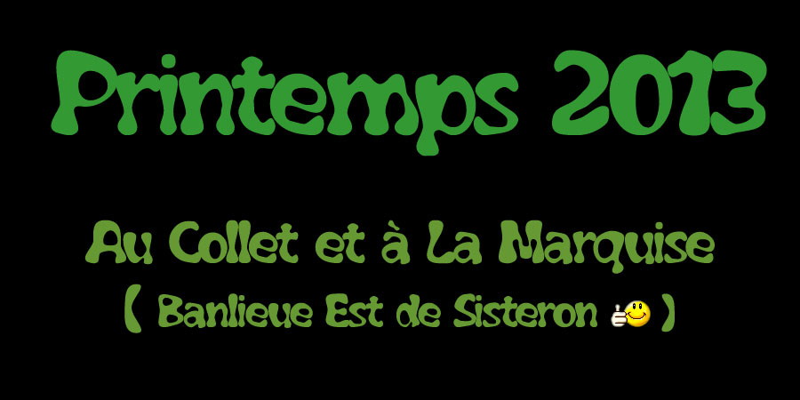 printemps-2013-collet-00web.jpg - Entre le Collet et la Marquise une des balades favorites des Sisteronnais. Ces lieux de toute beauté se trouvent à deux pas du centre et forme une agréable boucle d'environ 4 km avec très peu de dénivellée