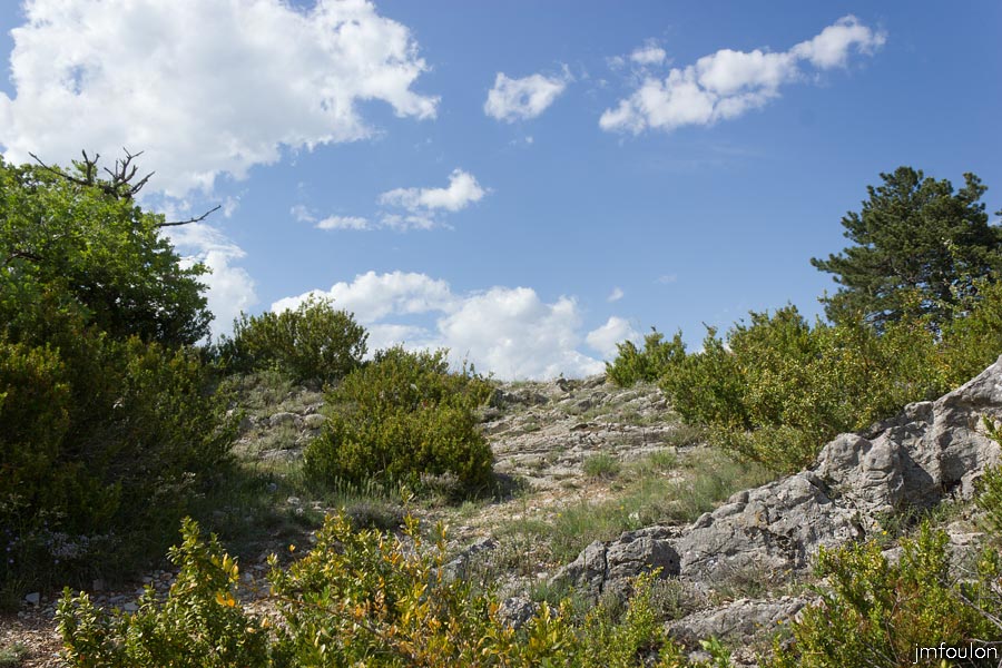 printemps-2013-collet-05web.jpg - L'adret du Collet, rocailleux et arride