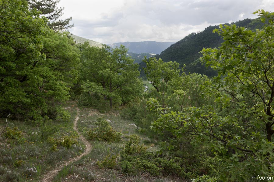 printemps-2013-collet-14web.jpg - Le sentier de crête au Collet qui se termine en cul de sac. Nous reviendrons sur nos pas pour redescendre vers le sentier central