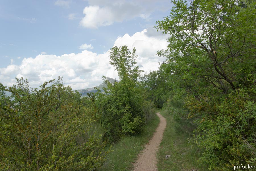 printemps-2013-collet-26web.jpg - Le beau sentier central du Collet