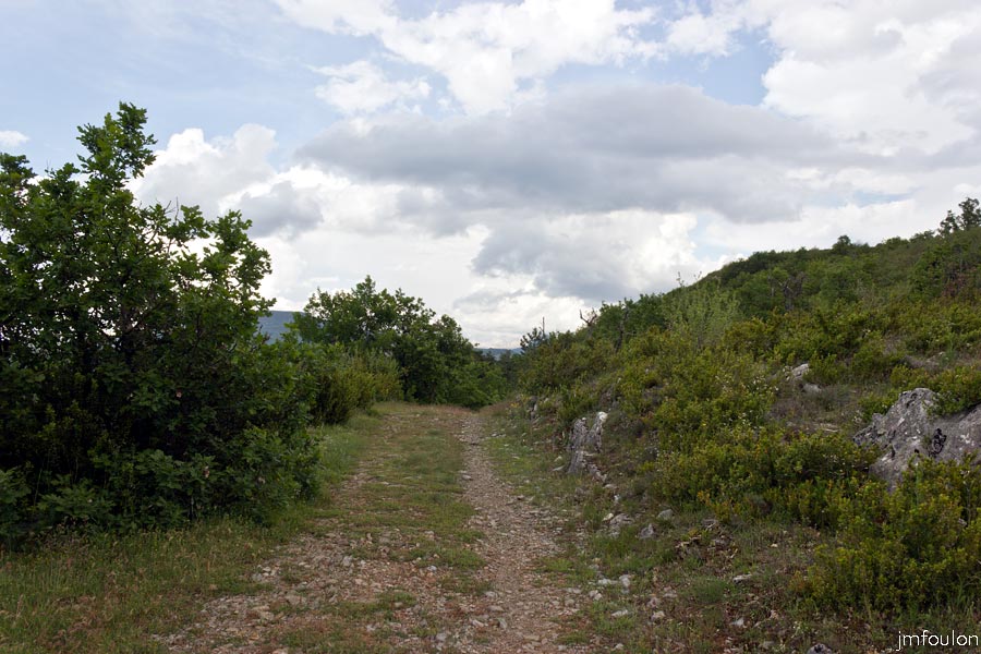 printemps-2013-collet-27web.jpg - Nous allons sortir de Champ Brancou et bientôt rejoindre la petite route de la Marquise