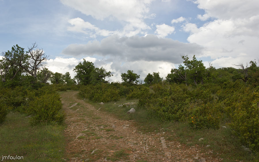 printemps-2013-collet-31web.jpg - Nous quittons la colline