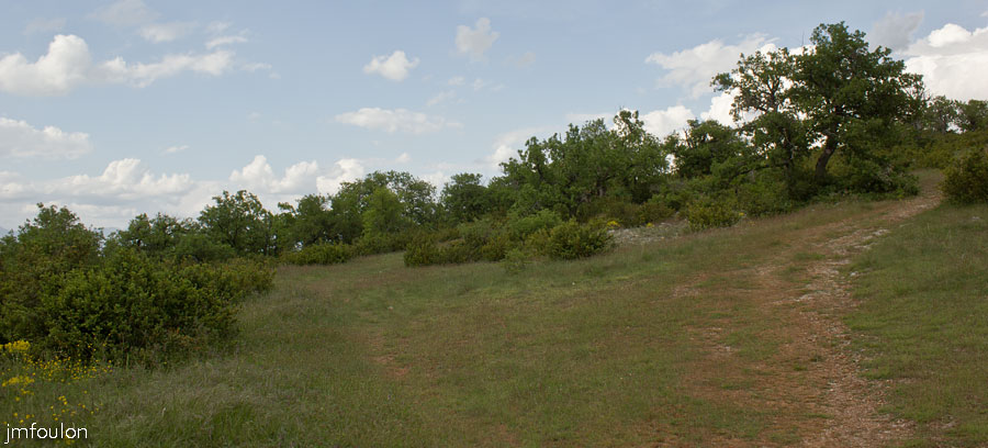 printemps-2013-collet-32web.jpg - La route est derrière à quelques mètres. Fort heureusement on ne peut accèder ici en voiture. Une solide barrière a été mise en place