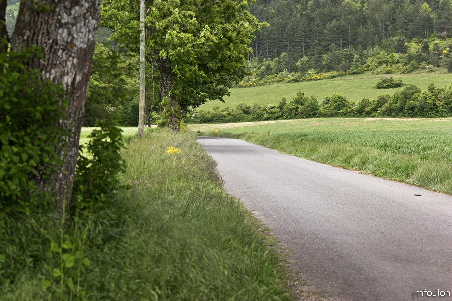 printemps-2013-collet-34web.jpg - La route de la Marquise qu'il n'y a plus qu'à survre sur environ 2 km pour rejoindre Sisteron