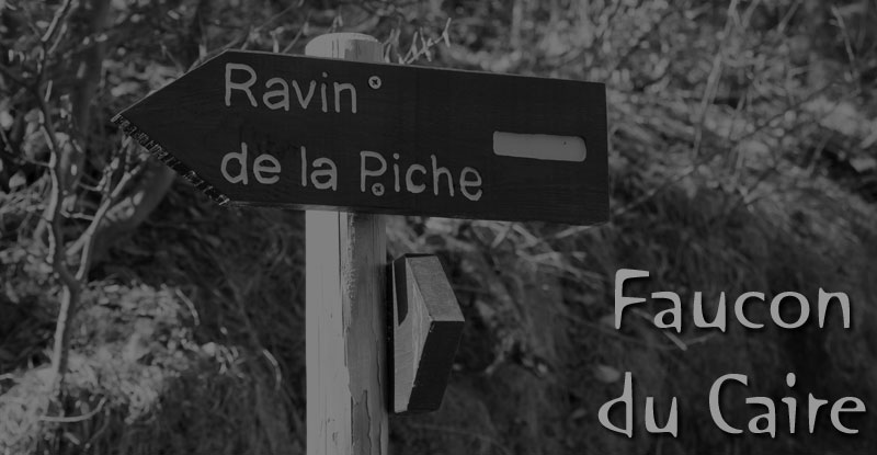 ravin-piche-00web.jpg - Rando à partir de Faucon du Caire - Dénivelé: 360 m - Distance: 3,6 km - Durée 3 h - Difficulté: *  - Balisage jaune - Cartographie: IGN 3339 ET