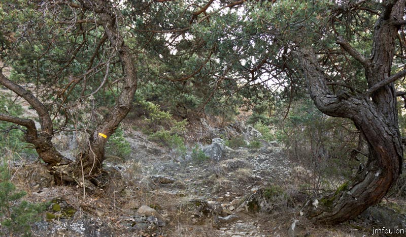 ravin-piche-04web.jpg - Continuons notre montée