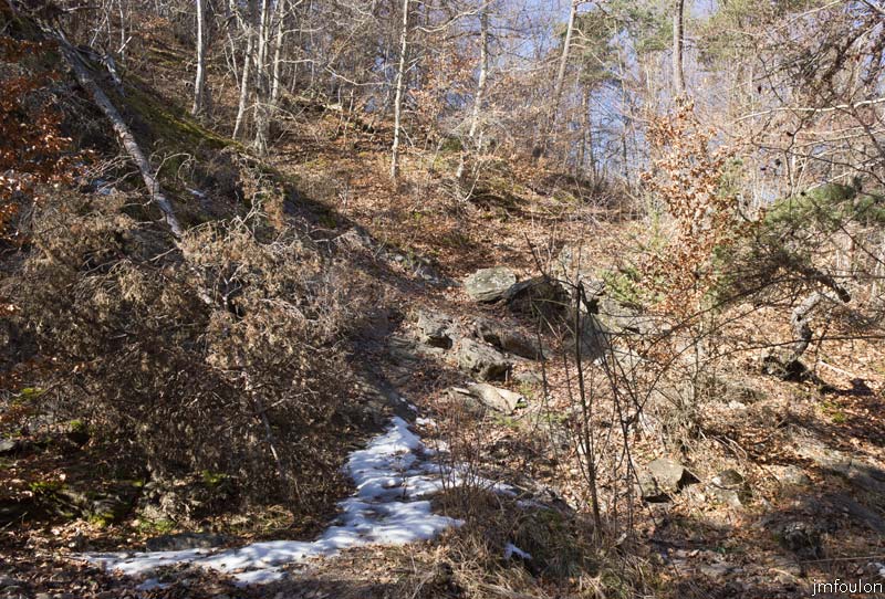 ravin-piche-10web.jpg - Nous allons quitter le ravin de la Bauchouse et monter vers le Sud