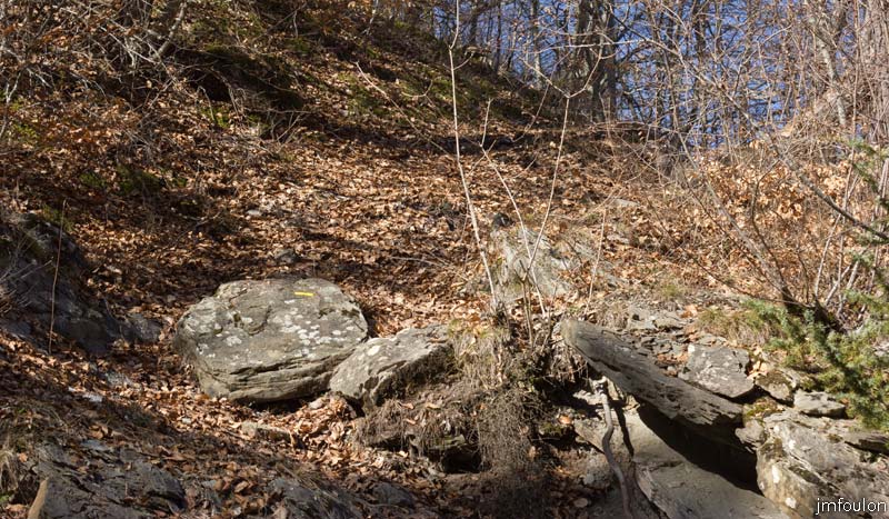 ravin-piche-11web.jpg - Autre vue du sentier