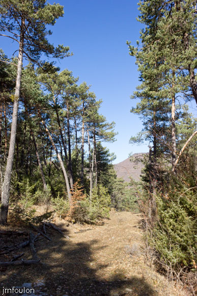 ravin-piche-18web.jpg - A partir d'ici, on chemine sur une piste abandonnée sur environ 500 m