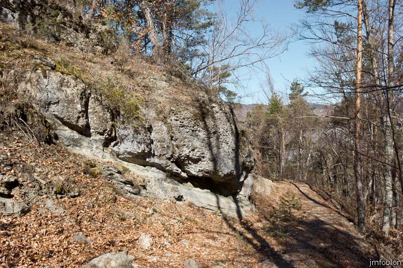 ravin-piche-19web.jpg - La piste un peu plus haut