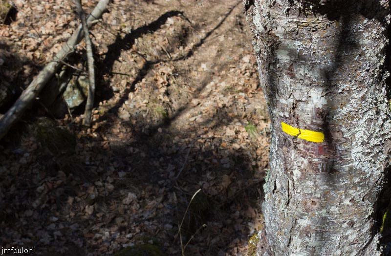 ravin-piche-30web.jpg - Balisage jaune du sentier
