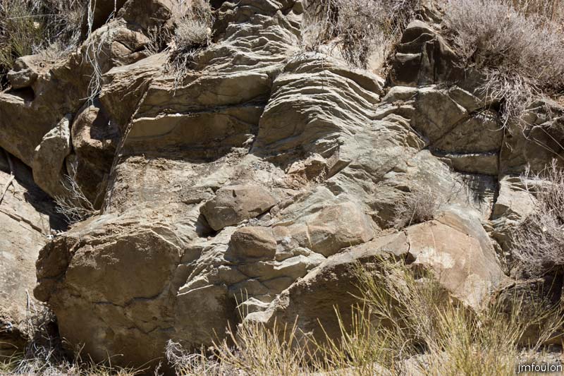 ravin-piche-33web.jpg - Roche