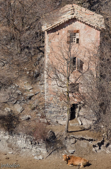 ravin-piche-42web.jpg - Le cabanon gardé par une vache !