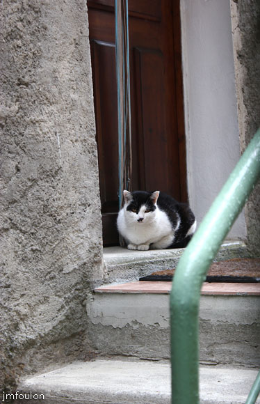 remollon-44web.jpg - Remollon la Bourgade -  Chatte à l'entrée de sa maison