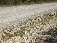 Route royale (portion Châteauneuf-Val-St-Donat)  Pierres dressées en bordure de voie