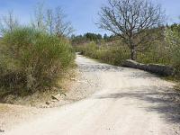 Route royale (portion Châteauneuf-Val-St-Donat)  Le premier pont sur la voie royale, toujours debout. Ici le parapet droit