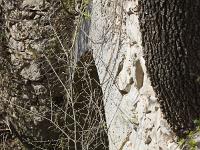 Route royale (portion Châteauneuf-Val-St-Donat)  Le premier pont sur la voie royale, toujours debout. L'arche du pont côté Sud