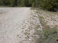 Route royale (portion Châteauneuf-Val-St-Donat)  Autre vue sur la voie et son empierrement