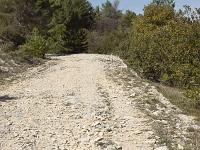 Route Royale (Portion Montfort)  Voie royale (autre vue)