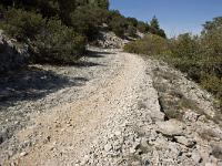 Route Royale (Portion Montfort)  Voie royale (autre vue)