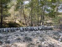 Route Royale (Portion Montfort)  Pierres debout