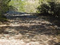 Route Royale (Portion Montfort)  Voie royale (autre vue)