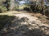 Route Royale (Portion Montfort)  Voie royale (autre vue)