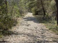 Route Royale (Portion Montfort)  Voie royale (autre vue)