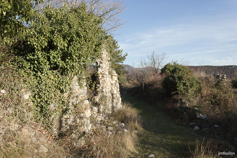 vx-salignac-034.jpg - Ici, un petit passage est visiblement entretenu. Après, c'est la jungle ! ...
