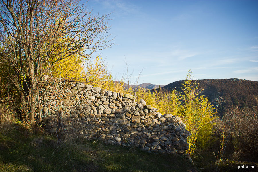 vx-salignac-053.jpg - Roseaux derrière un mur ...