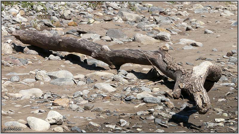 sasse-chateau-24web.jpg - Bois mort échoué sur la rive