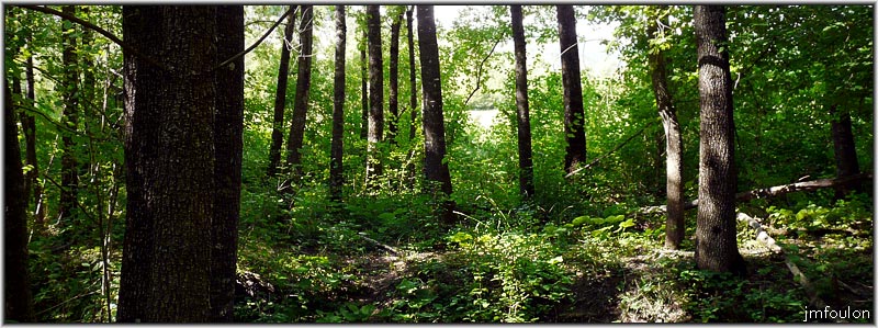 sasse-nibles-02web.jpg - Végétation rive droite entre Châteaufort et Nibles