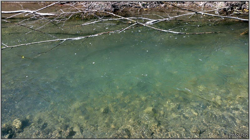 sasse-nibles-08web.jpg - Et limpide ... se qui ne signifie hélas pas qu'elle soit propre !